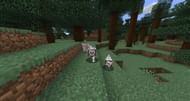 Wolves keep certain mobs away (Image via Mojang)